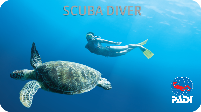PADI Scuba Diver