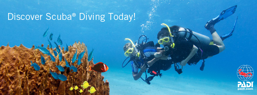 Discover Scuba Diving